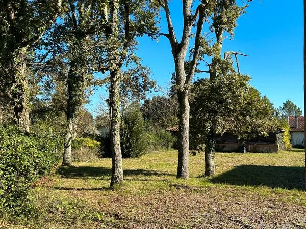 Grange landaise sur terrain viabilisé