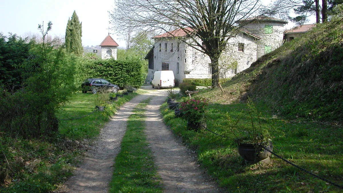 Photo 7
