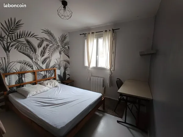 Chambre dans colocation