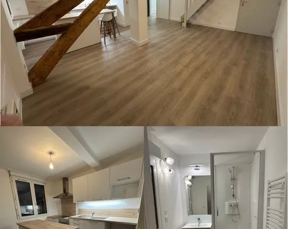 T2 duplex entièrement rénové - Vue Sarthe et Cathédrale - Le Mans