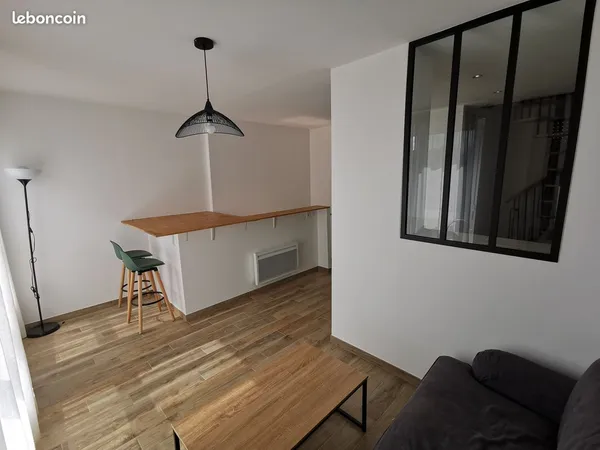 Appartement r+1 2 pieces meuble + cour exterieure