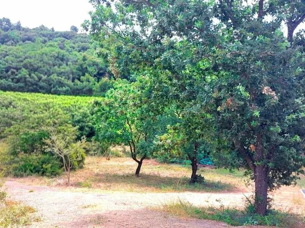 Terrain 818 m² PEZENAS