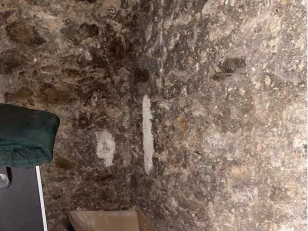 Cave à louer