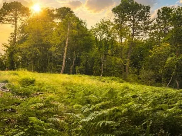 Terrain 2 000 m² Trelissac