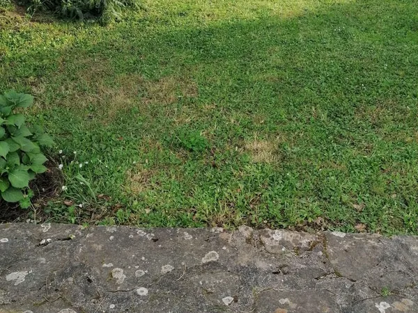 Terrain 770 m²