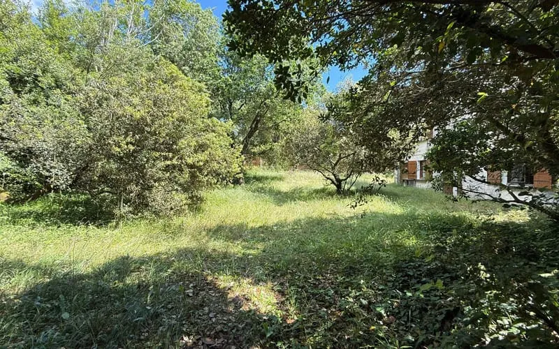 Photo 44