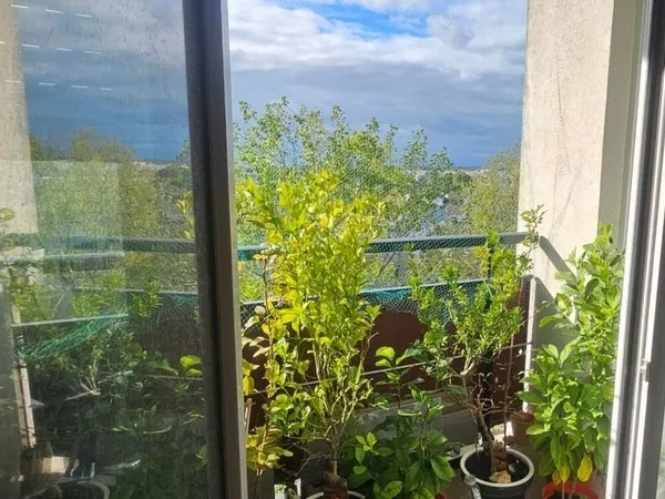 Appartement 3 pièces 55 m²