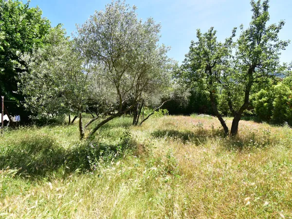 Terrain à Bâtir 637 m² quartier la Sèbe, Digne 04