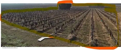 Terrain agricole
