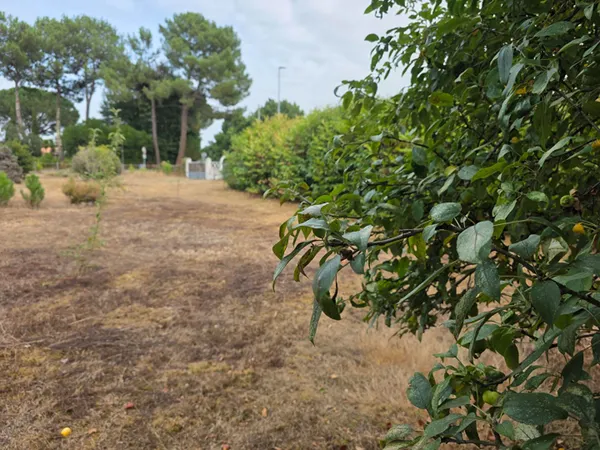 Terrain 776 m²
