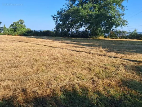Terrain constructible de 2087 m2