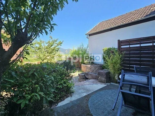 Local commercial 4 pièces 430 m²