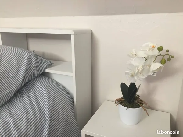 Loue Appartement T2 F2 de 24m²