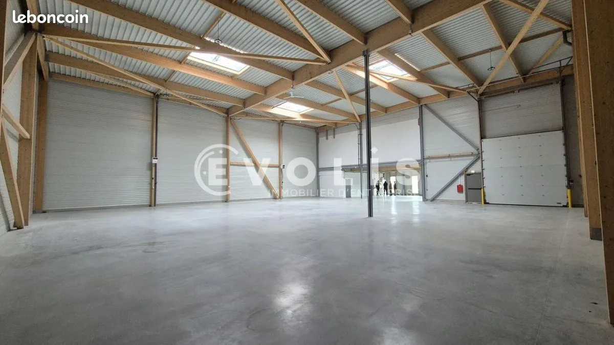 Photo 5