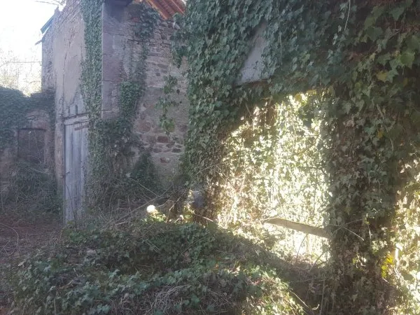 Terrain 4792 m²