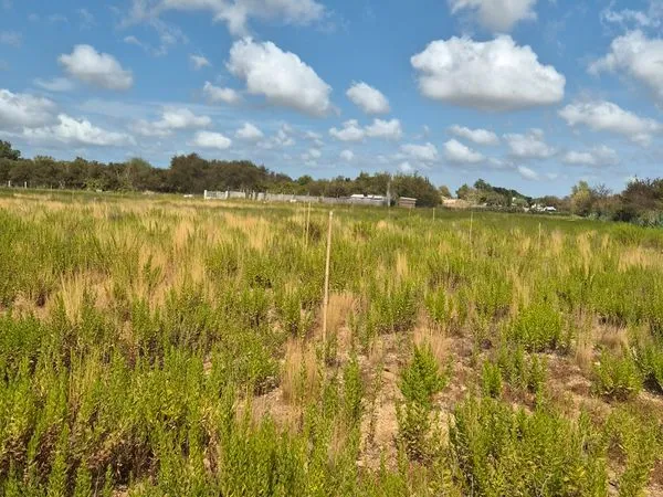 Terrain agricole a louer