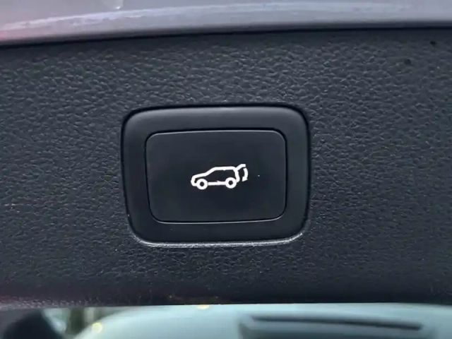 Mg Ehs luxury phev — photo 21
