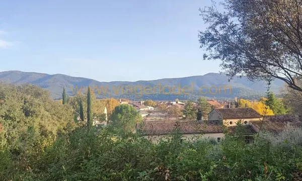 Réf. 10 147 - VENTE CLASSIQUE - PIGNANS (83)