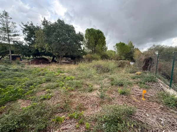Terrain 564 m²