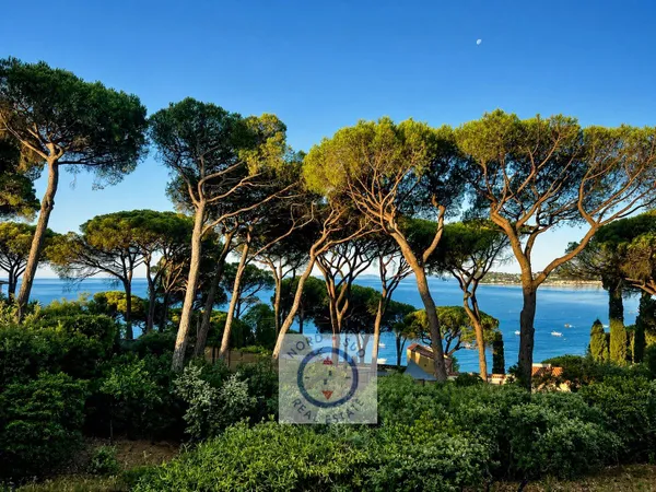Terrain 1700 m²