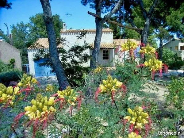 Appartement en rez-de-jardin
