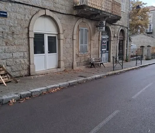 Local professionel à vendre
