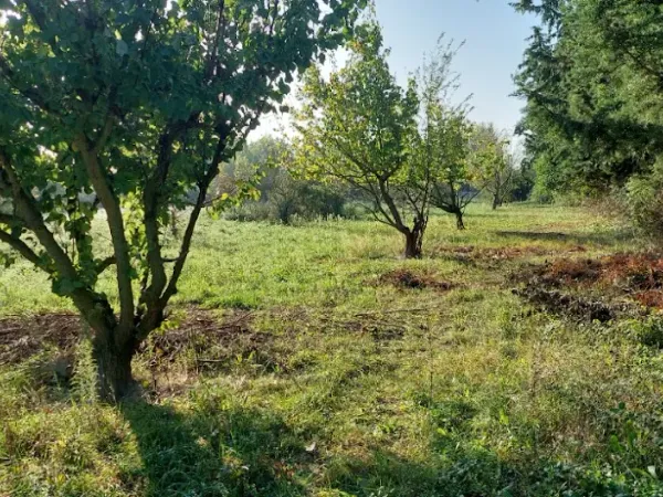 Maison 467 m²