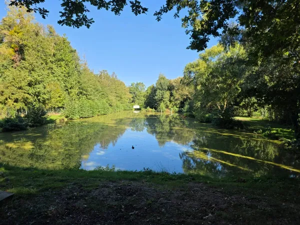 Étangs à vendre à Laniscourt