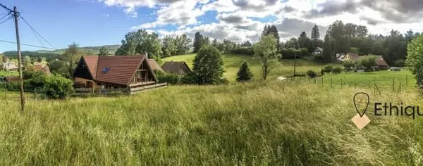 Terrain