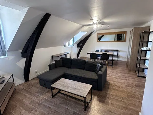 Appartement meublé 50 m² - Centre-ville de Bourges - Vue cathédrale - Cave 15 m²