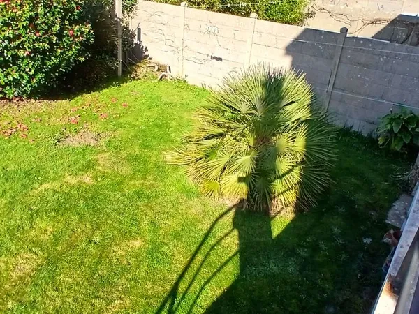 Maison 6 pièces 110 m²