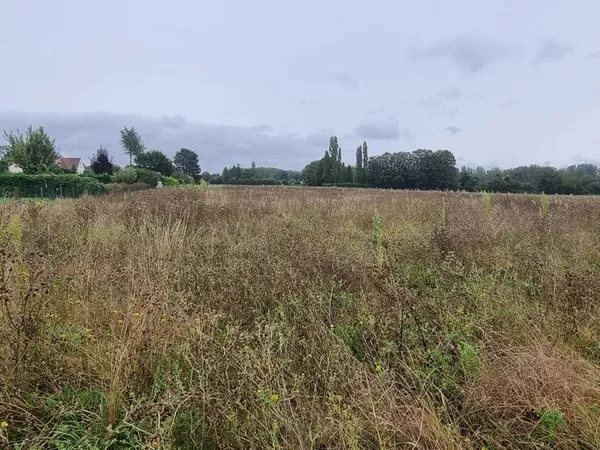 Terrain Courlon-sur-Yonne