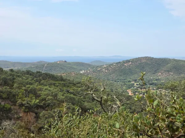 Terrain 40000 m²