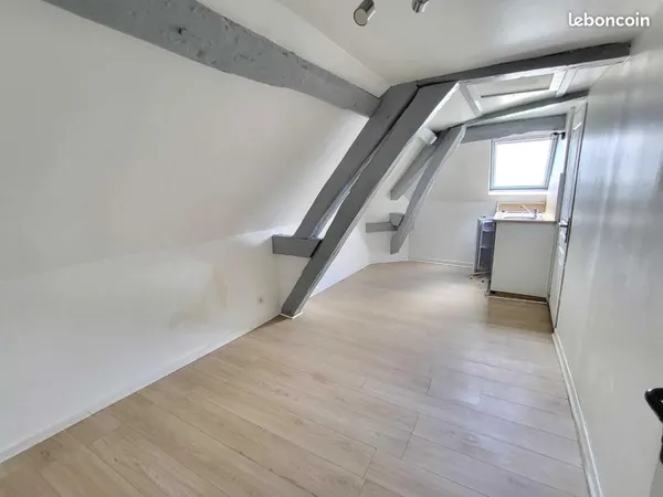 Studio 1 pièce 10 m²