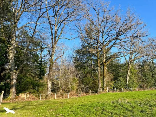 Terrain 10000 m²