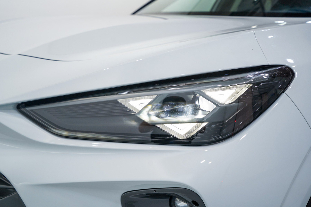 Cupra Terramar — photo 9