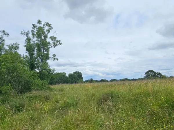 Maison 4 pièces 240 m²