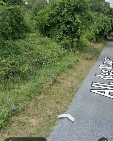 Terrain boisé