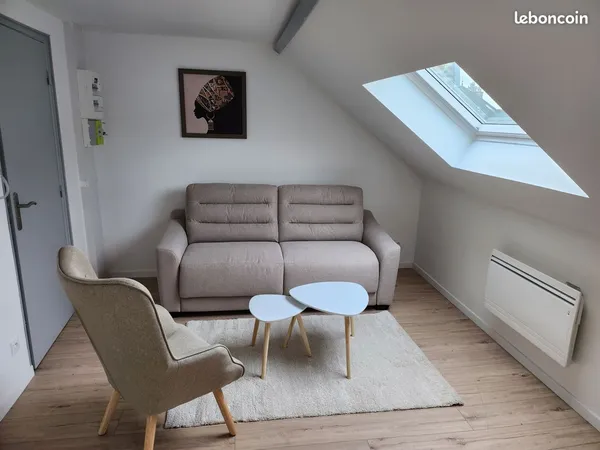 Appartement rénové plein centre ville