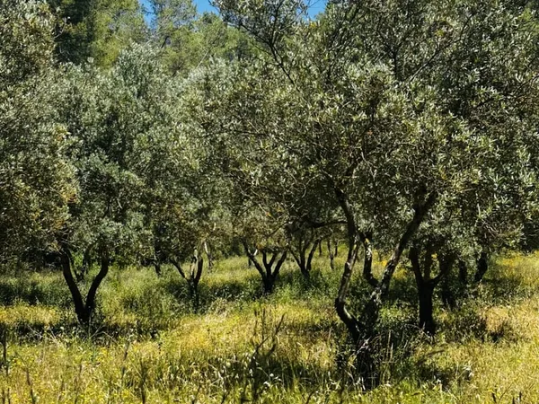 Terrain 22550 m²