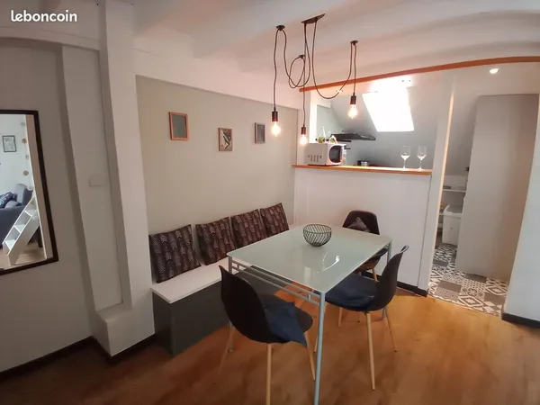 Grand studio meublé type F1 bis + mezzanine