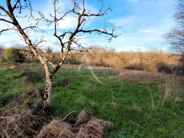 Terrain 3512 m² LE CHAMP SAINT PERE