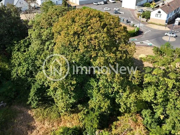 Terrain 5300 m²
