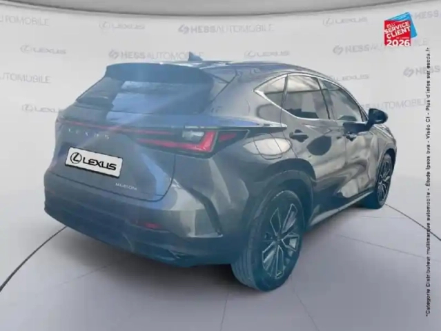 Lexus Nx 450h+ executive 4wd my25 — photo 21