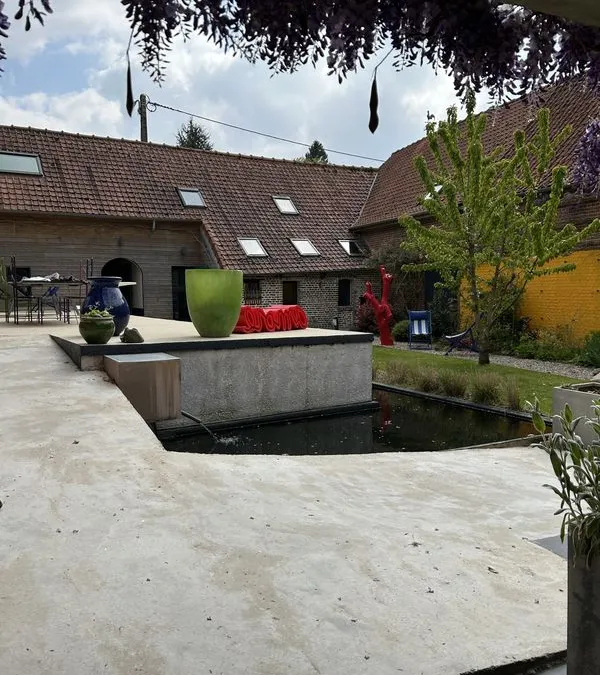 Photo 5