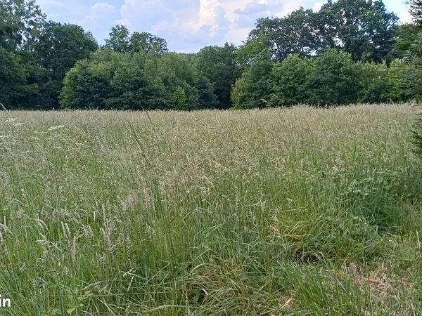 Terrain agricole a louer