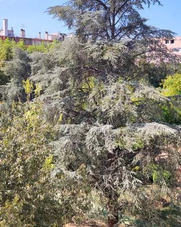 Appartement T3/4 Résidence Groupe Provence