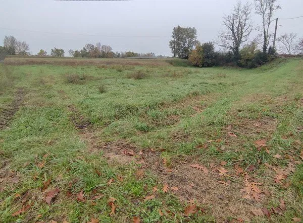 Terrain à bâtir Vente Malause  1590m² 29000€
