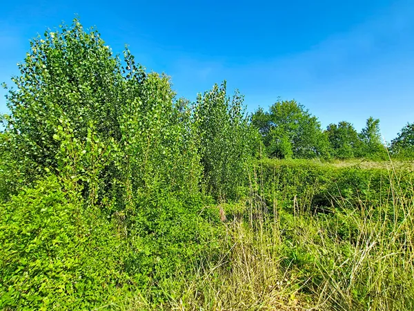 Terrain 305 m²