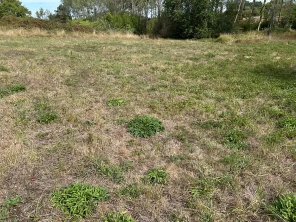 Terrain 1100 m²